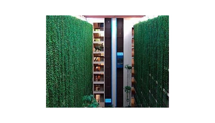 Hotel Acapulco Tortuga poza 3