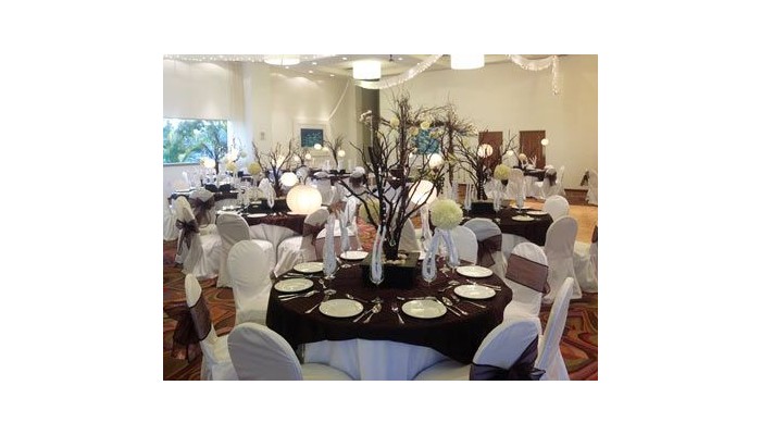 Hotel Holiday Inn Acapulco La Isla poza 10