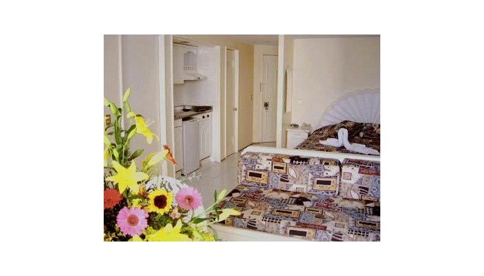 Hotel Las Torres Gemelas poza 1