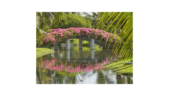 Hotel Ocean Breeze Acapulco poza 8