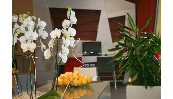 Hotel Ibis Styles Catania Acireale poza 8