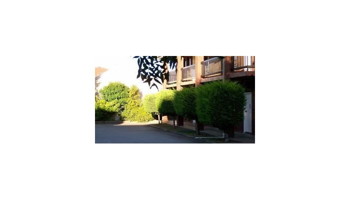 Hotel Comfort Inn & Suites Sombrero poza 1