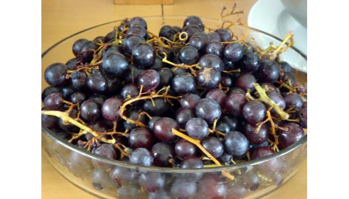 Filoxenia Apartments poza 17