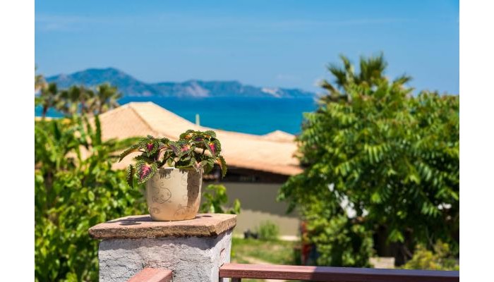 Hotel Lemonia Accommodations poza 13