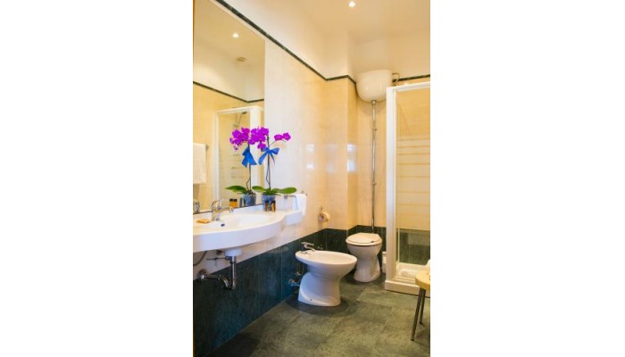 Hotel Dei Pini poza 5