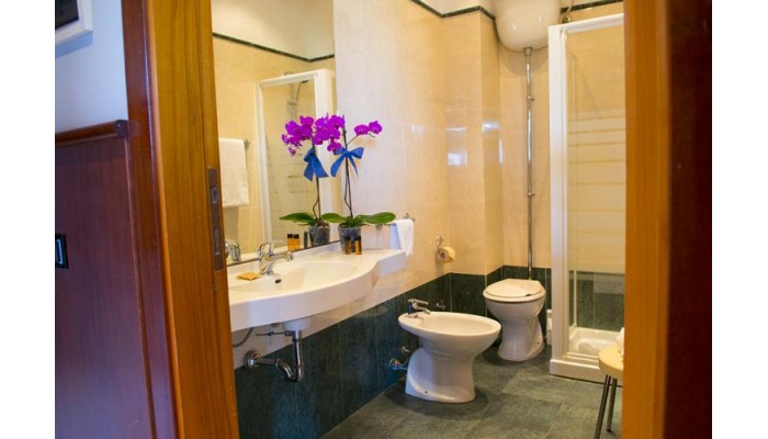 Hotel Dei Pini poza 4