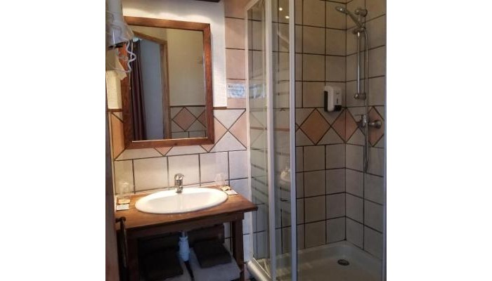 Hotel Du Terreau poza 18