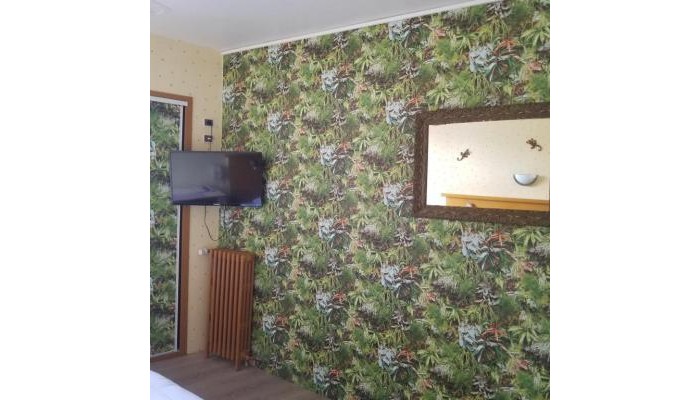 Hotel Du Terreau poza 10