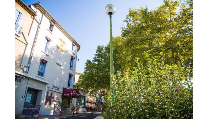 Hotel Du Terreau poza 1