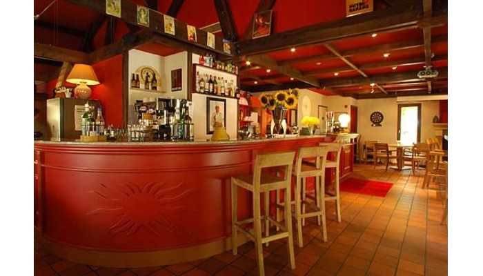 Hotel Ibis Styles Mas Des Oliviers poza 7