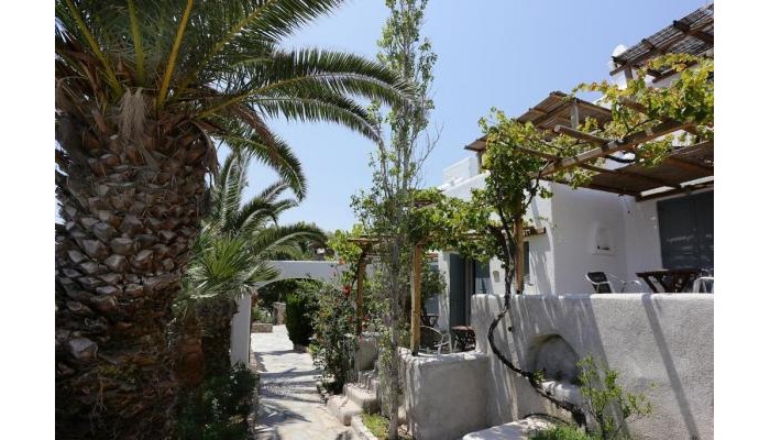 Hotel Albatros poza 18