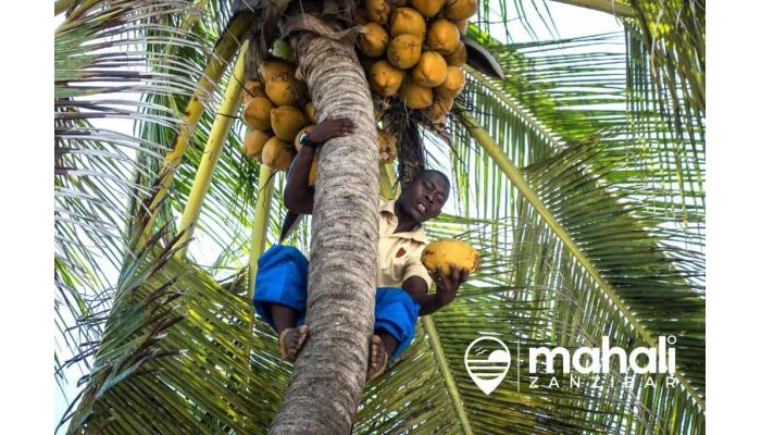 Hotel Mahali Zanzibar poza 20