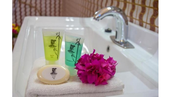 Tembo Palace Hotel poza 1