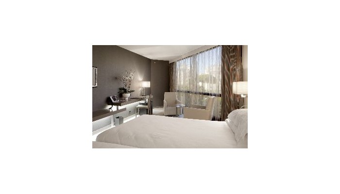 Hotel Ac Nice poza 4