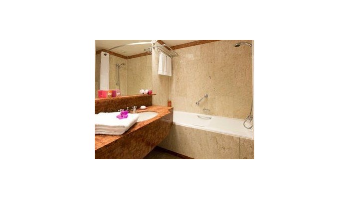 Hotel Holiday Inn Nice poza 0