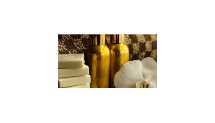 Hotel Holiday Inn Nice poza 3