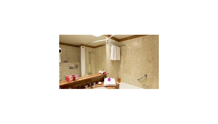 Hotel Holiday Inn Nice poza 2