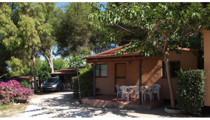 Camping Caledonia poza 1