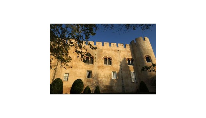 Hotel Pousada Castelo De Alvito poza 1