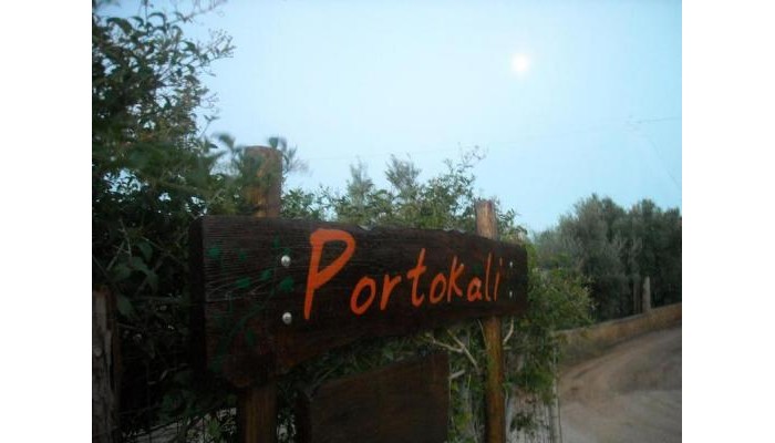 Portokali Apartments poza 8