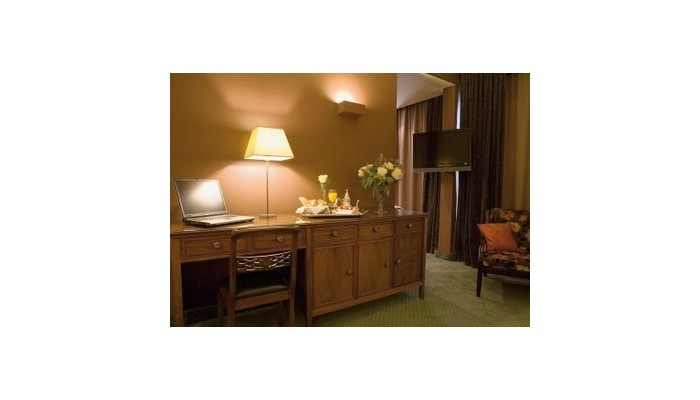 Poza pentru Hotel Plaza 407-1487460436 Hotel Plaza poza 5