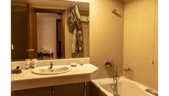 Arta Palace Hotel poza 0