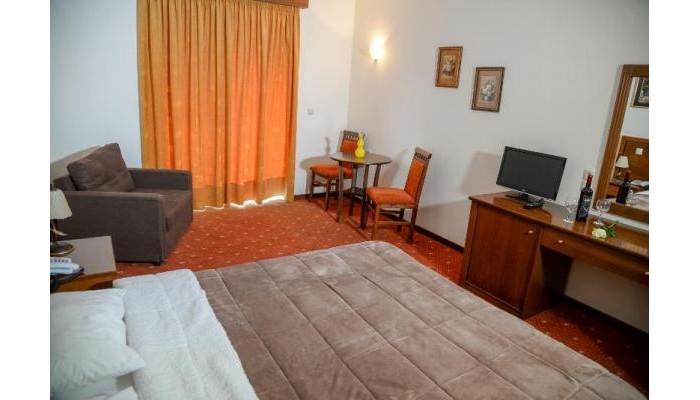 Arta Palace Hotel poza 6