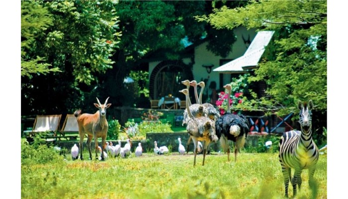 Hotel Mount Meru Game Lodge poza 8