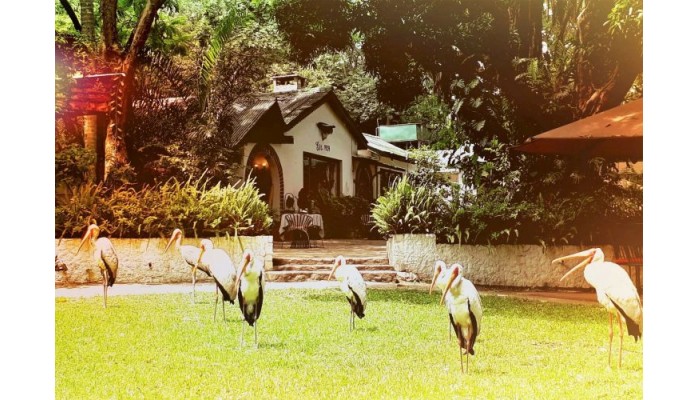 Hotel Mount Meru Game Lodge poza 4