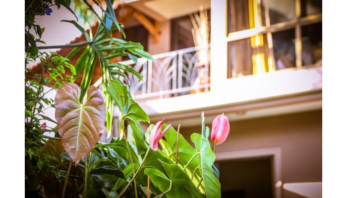 Hotel Zawadi House poza 8