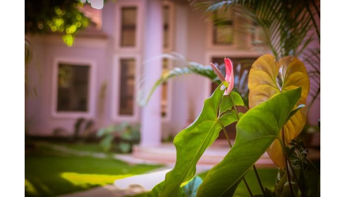 Hotel Zawadi House poza 0