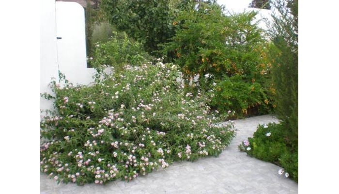 Hotel Astypalea Villas poza 6