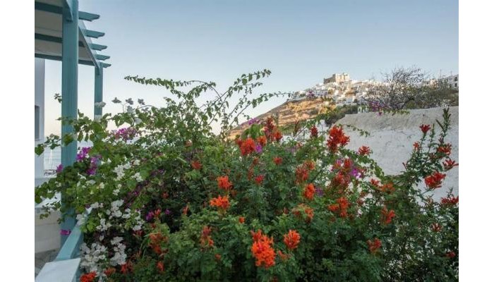 Aphrodite Studios poza 2