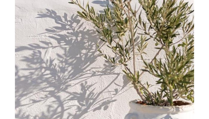 Kalderimi Hotel poza 8