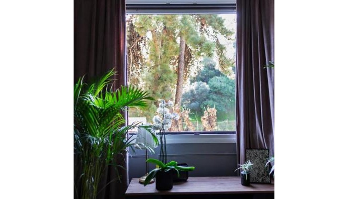 Hotel Live Life Acropolis poza 6