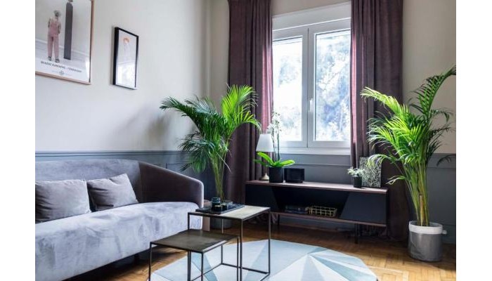 Hotel Live Life Acropolis poza 5