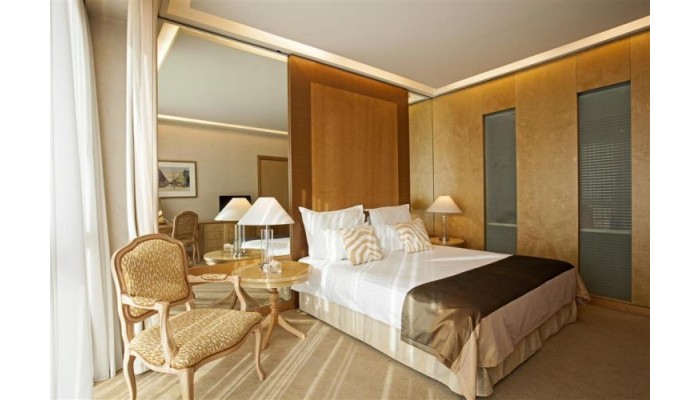 Hotel Melia Athens poza 11