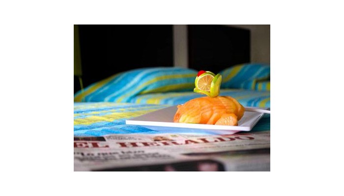 Hotel Virrey Inn poza 8