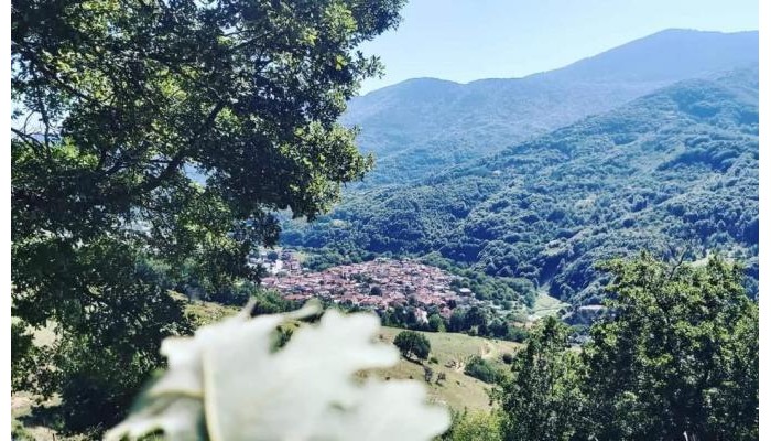 Hotel Dimatis poza 11