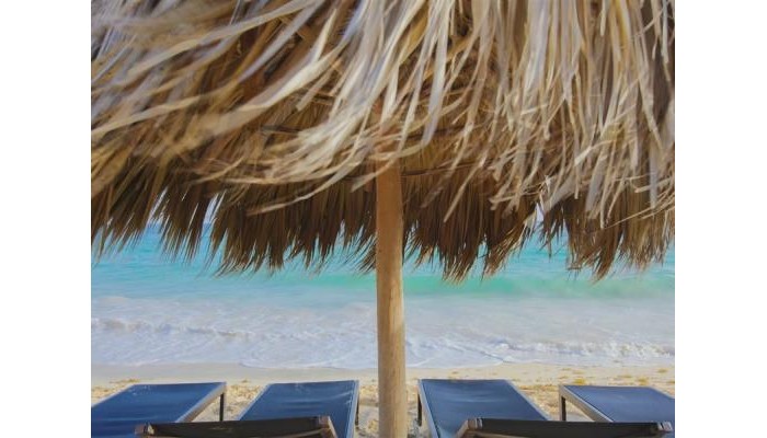 Hotel The Hideaway At Royalton Punta Cana poza 3