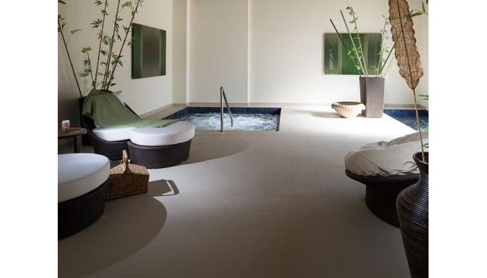 Hotel The Hideaway At Royalton Punta Cana poza 9