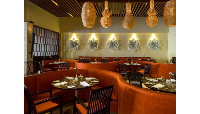 Hotel The Hideaway At Royalton Punta Cana poza 5