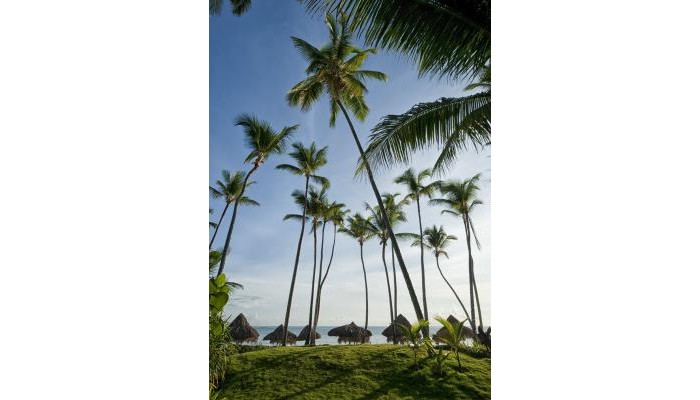 Melia Punta Cana Beach Resort - Adults Only All Inclusive poza 7