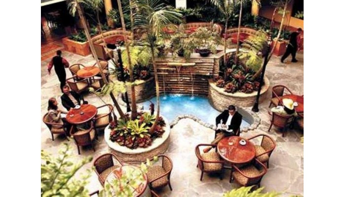 Embassy Suites Los Marlins Hotel And Golf Resort poza 4