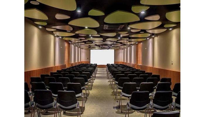 Cosmos 100 Hotel And Centro De Convenciones poza 8