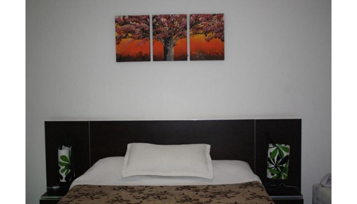 Hotel Dalons Colonial poza 10