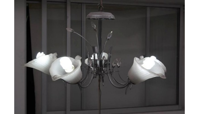 Hotel Dalons Colonial poza 7