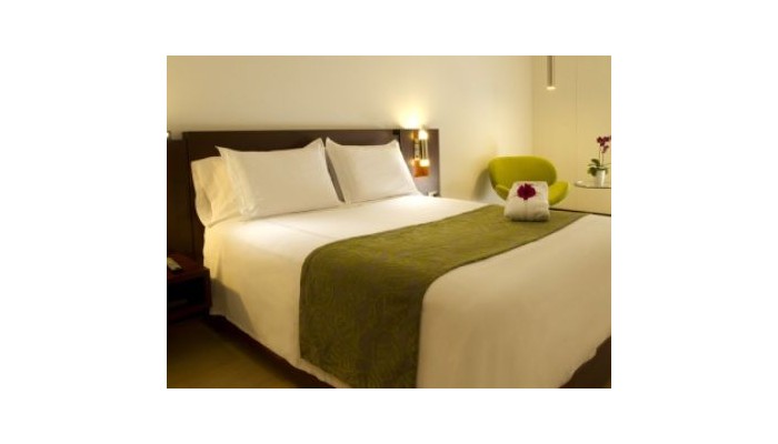 Hotel Nh Urban 93 Royal poza 5