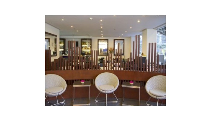 Hotel Nh Urban 93 Royal poza 9