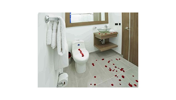 Hotel Plaza Miranda Corferias poza 4